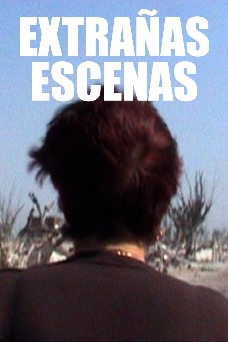 Poster of Extrañas escenas