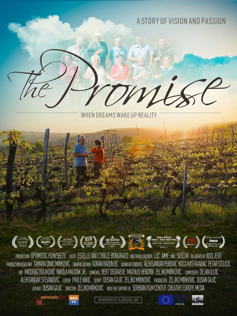 Poster of The Promise