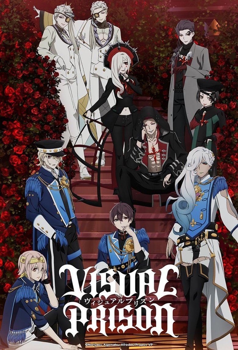 Poster of Visual Prison
