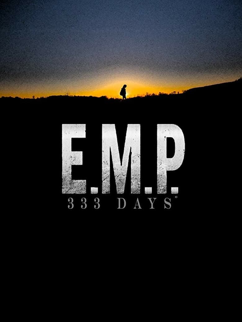 Poster of E.M.P. 333 Days