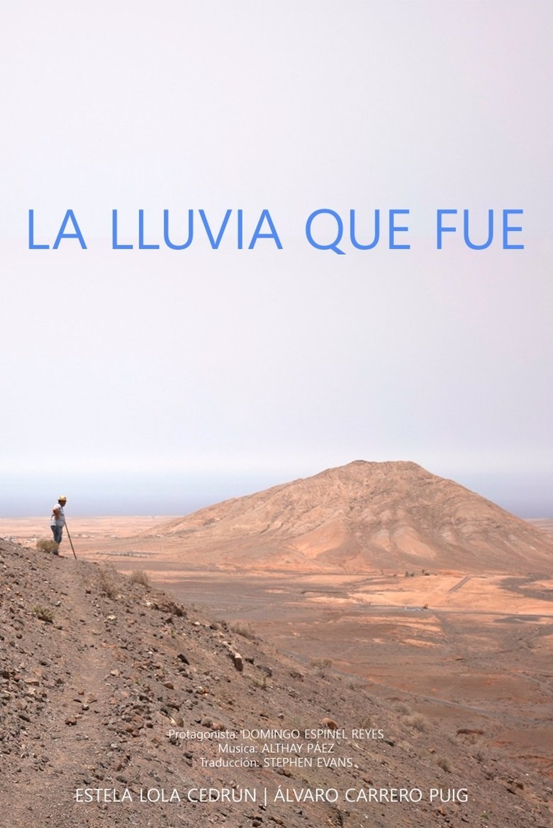 Poster of La lluvia que fue