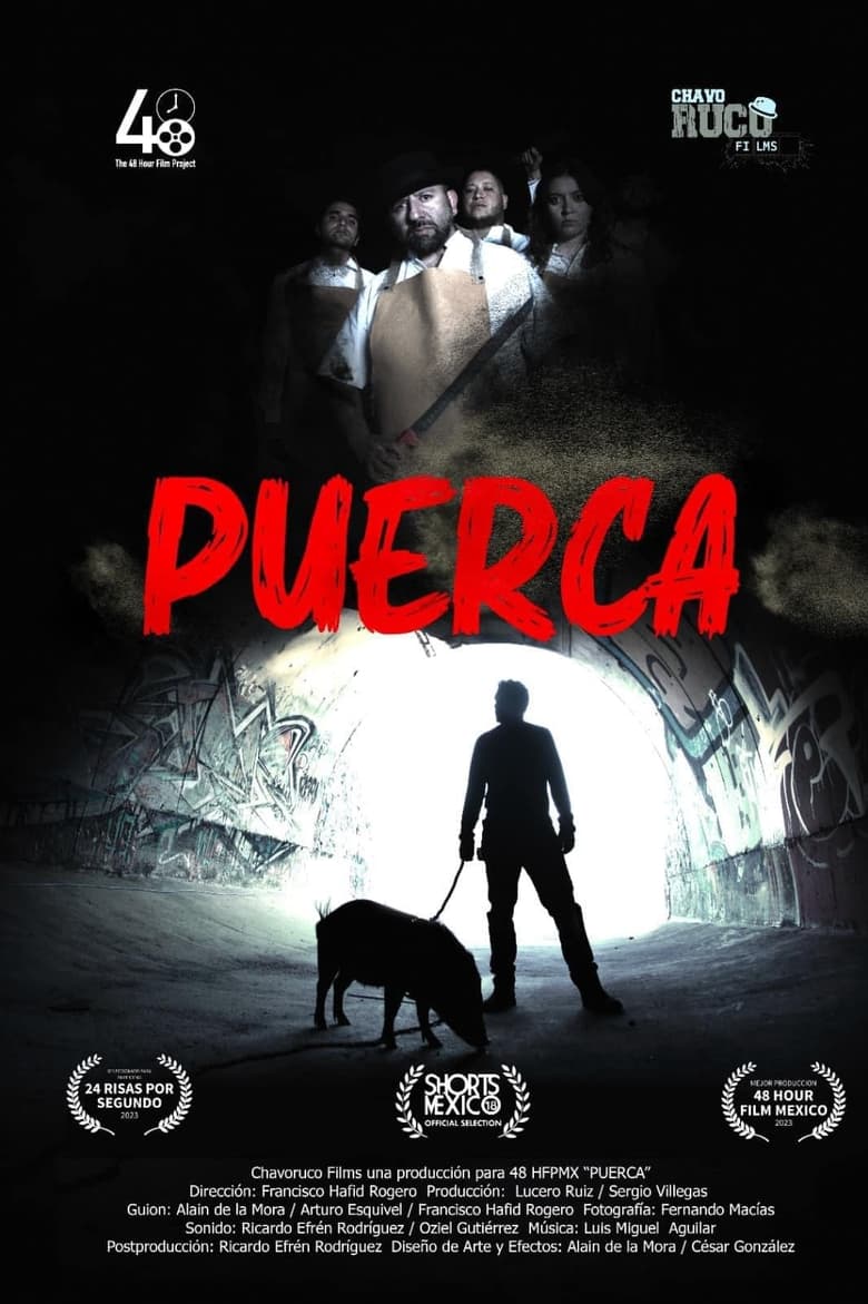 Poster of Puerca