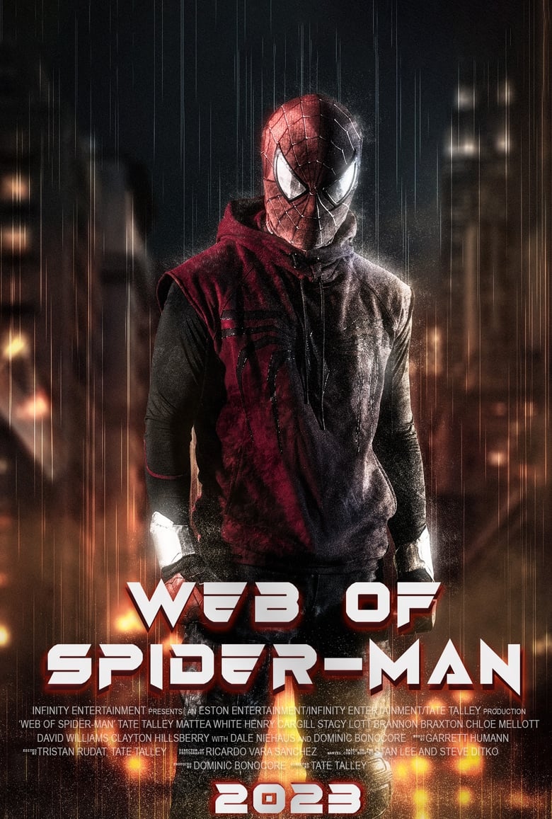 Poster of Web of Spider-Man