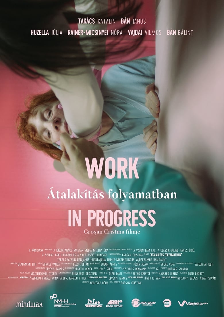 Poster of Átalakítás Folyamatban