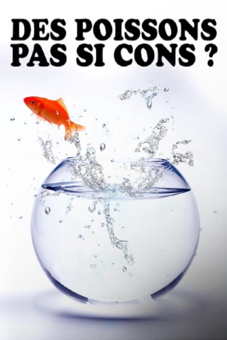 Poster of Des poissons, pas si cons ?