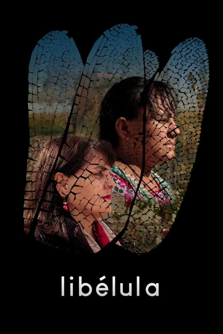 Poster of Dragonfly