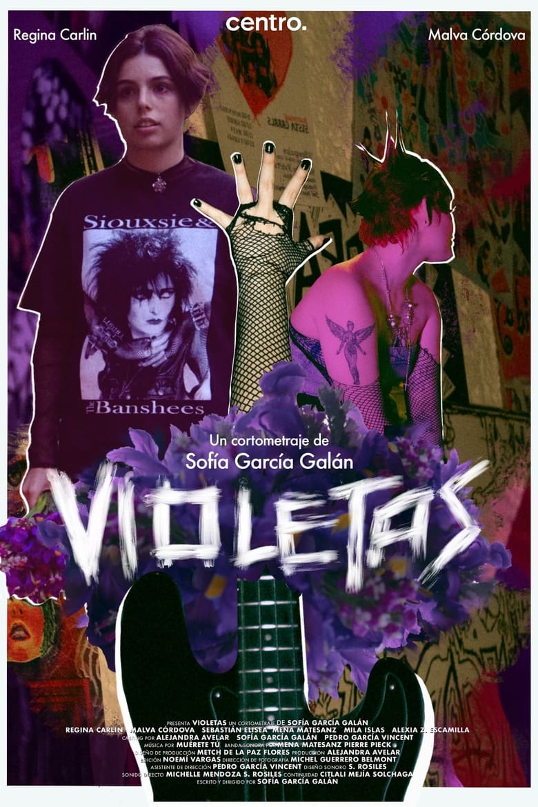 Poster of Violetas