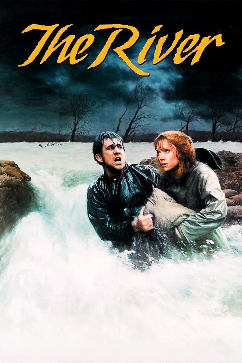 Poster of The River