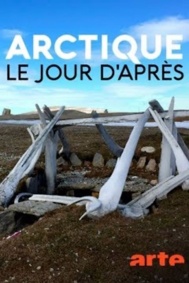 Poster of Arctique – Le jour d'après