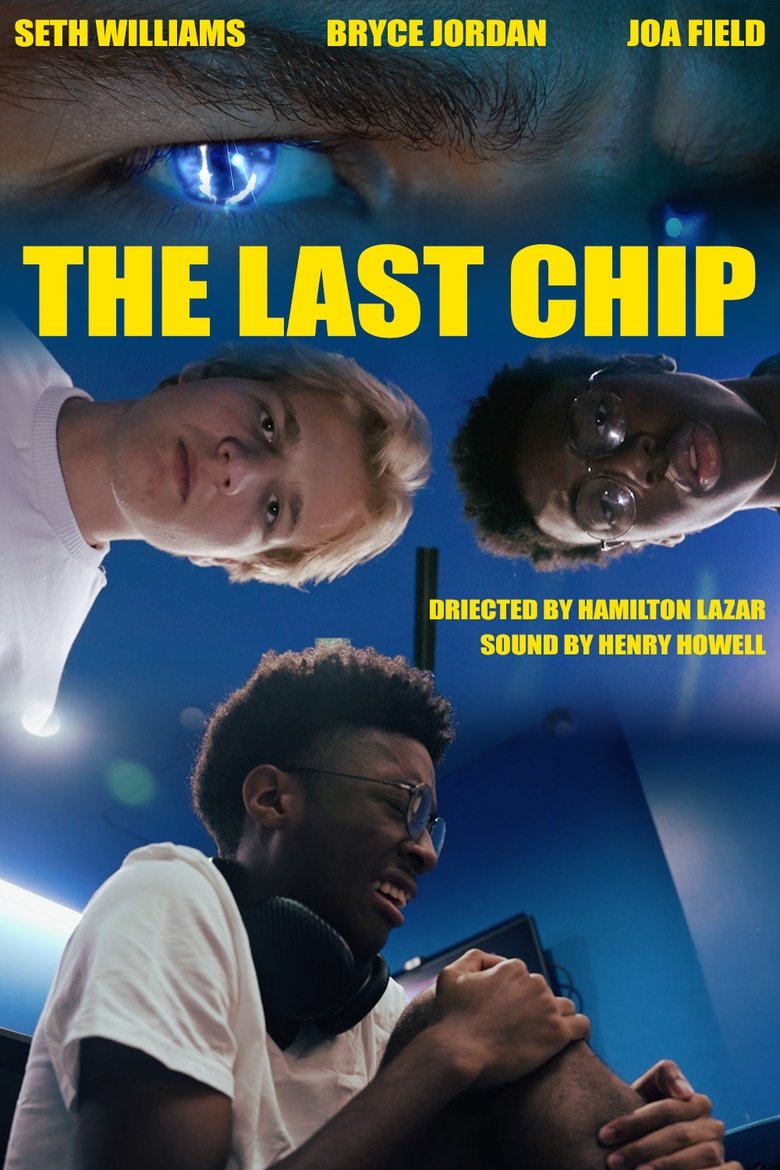 Poster of The Last Chip
