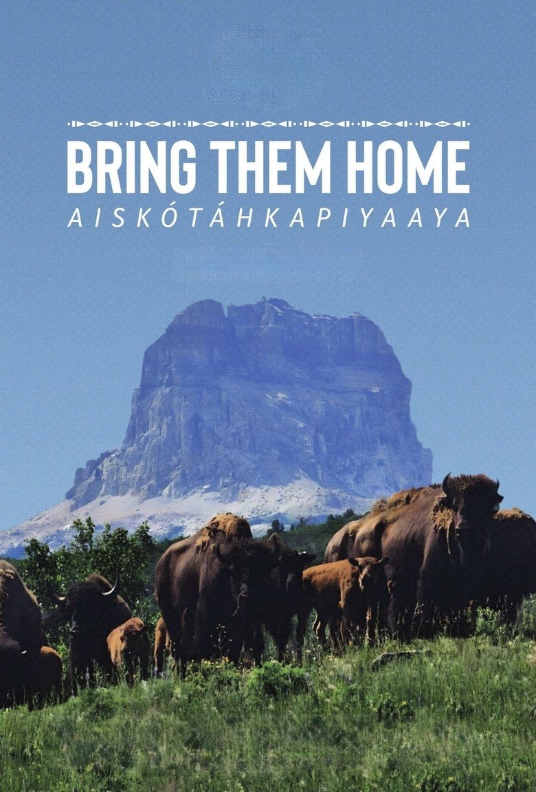 Poster of Bring Them Home