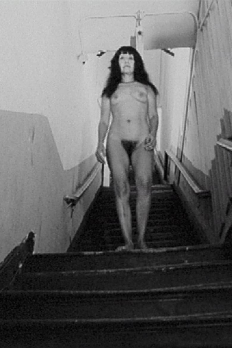 Poster of Nude Decending the Stairs