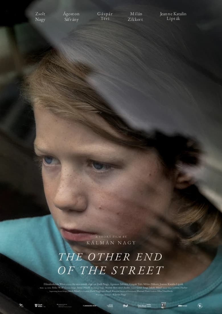 Poster of The Other End of the Street