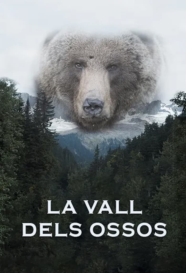 Poster of Valley of the Bears