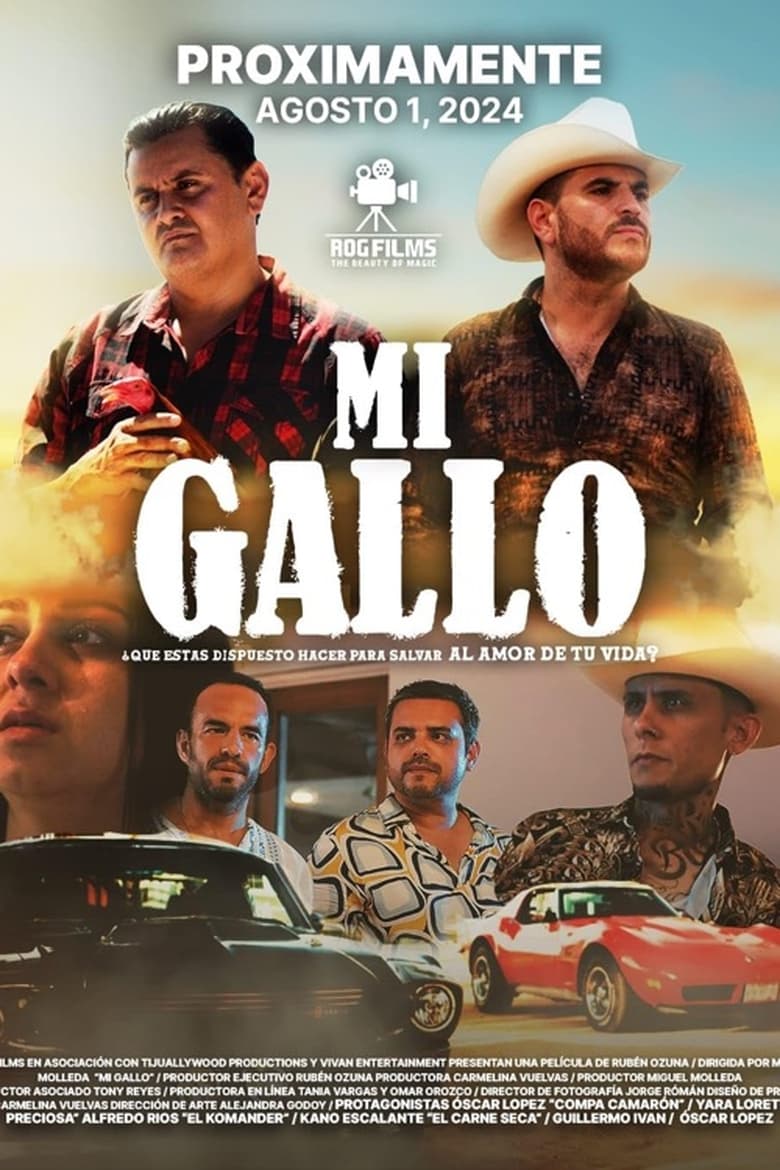 Poster of Mi Gallo