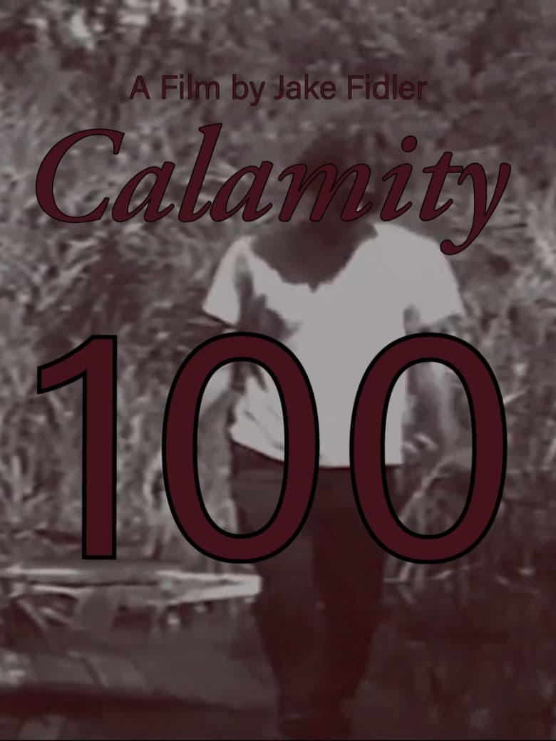 Poster of Calamity 100