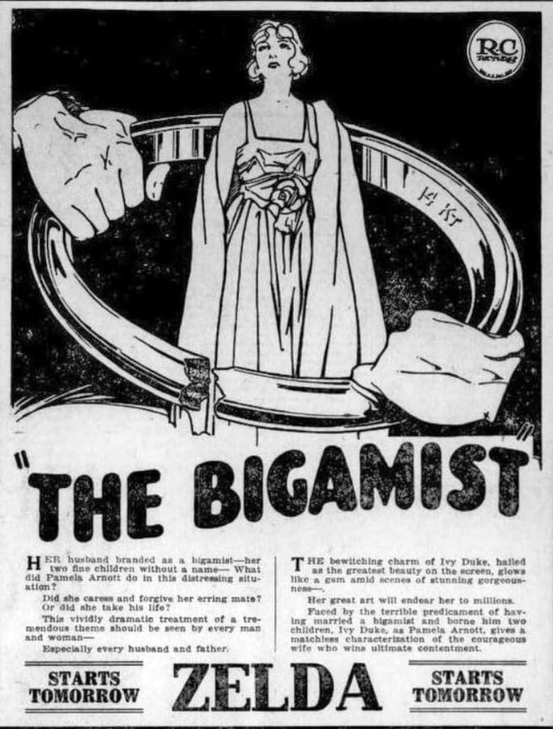 Poster of The Bigamist