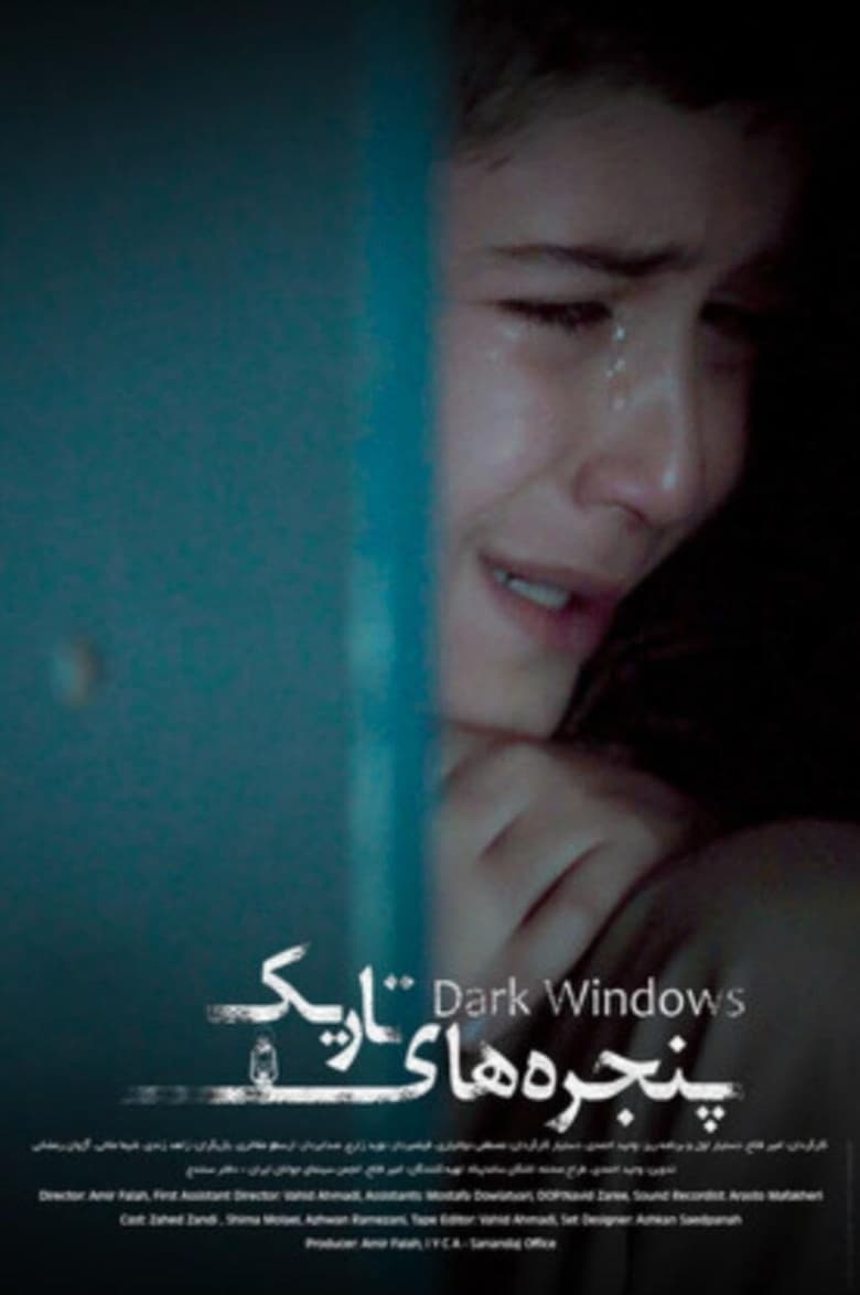 Poster of Dark Windows