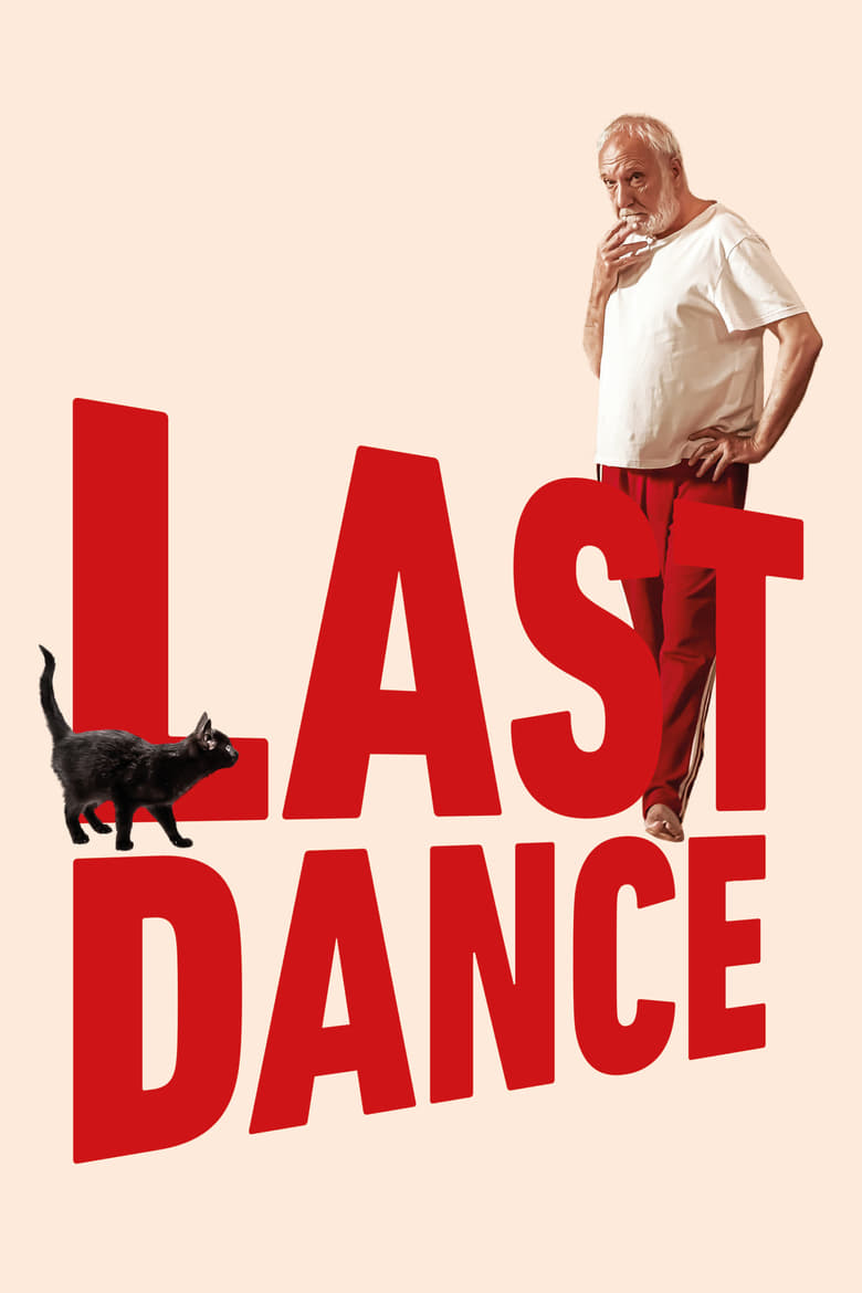 Poster of Last Dance