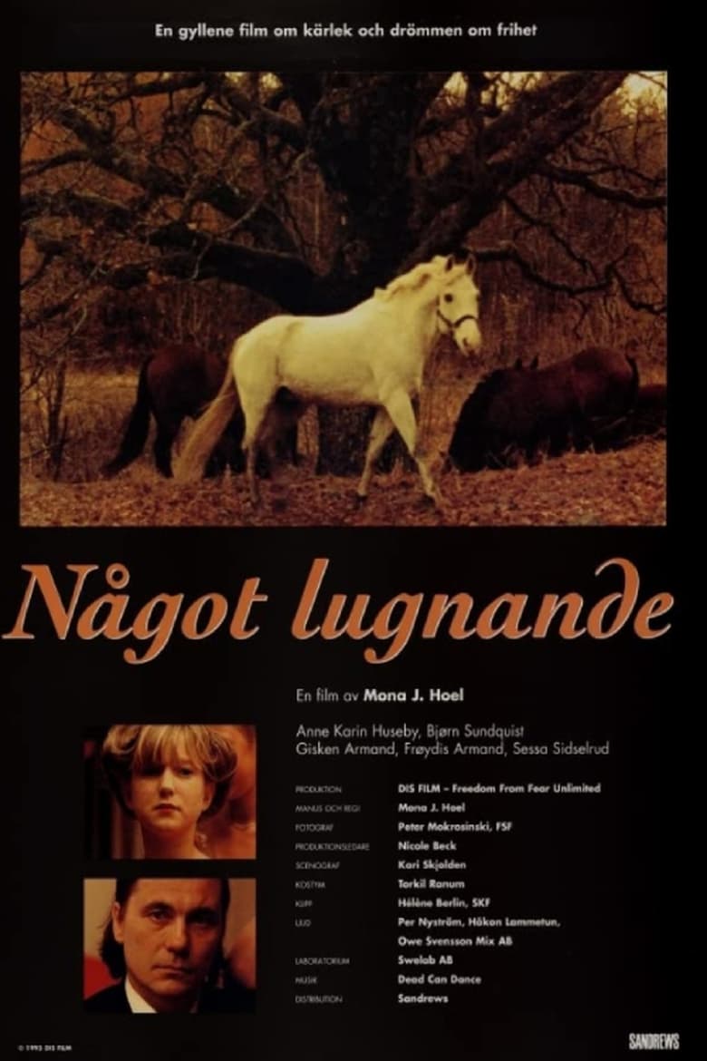 Poster of Noe beroligende