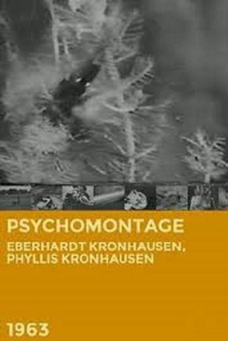 Poster of Psychomontage