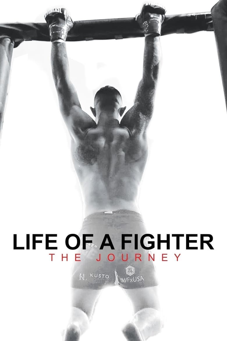 Poster of Life of a Fighter: The Journey