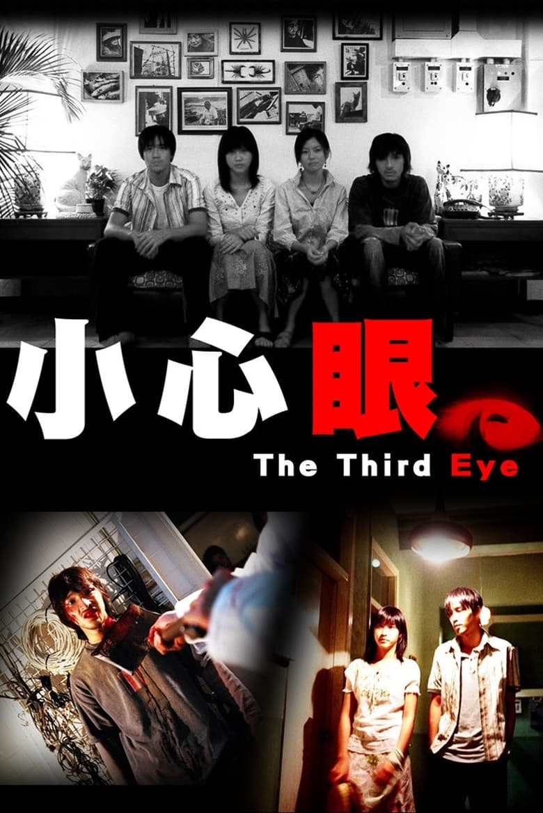 Poster of The Third Eye