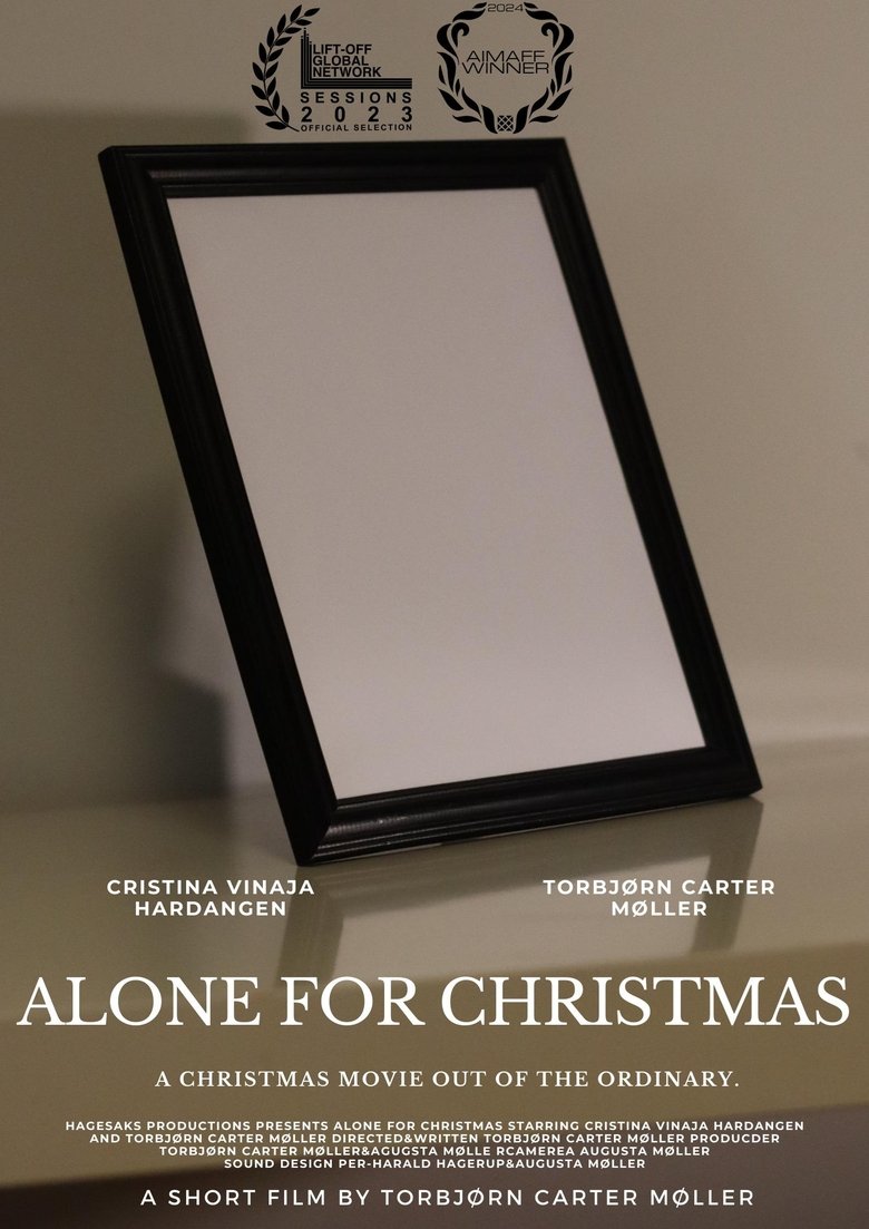 Poster of Alone for Christmas