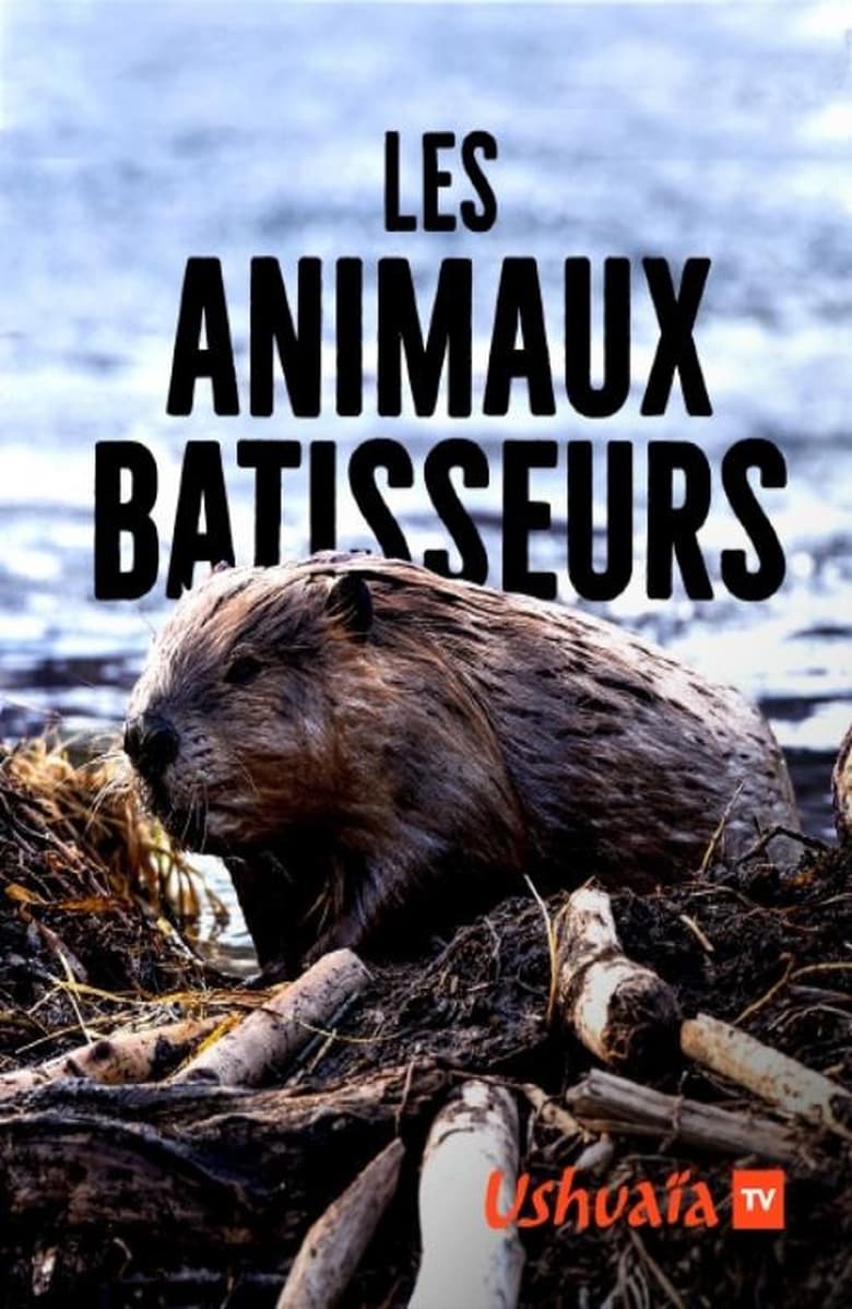 Poster of Les Animaux bâtisseurs