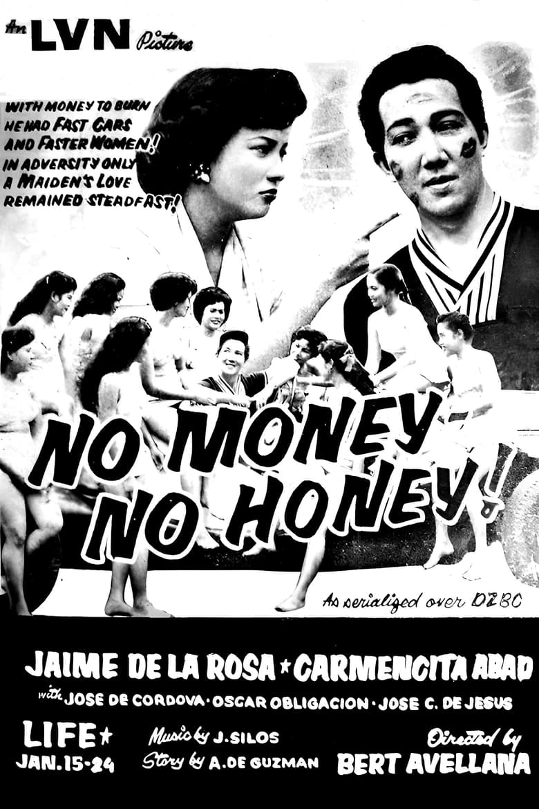 Poster of No Money No Honey