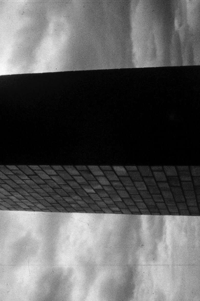 Poster of Pixillation