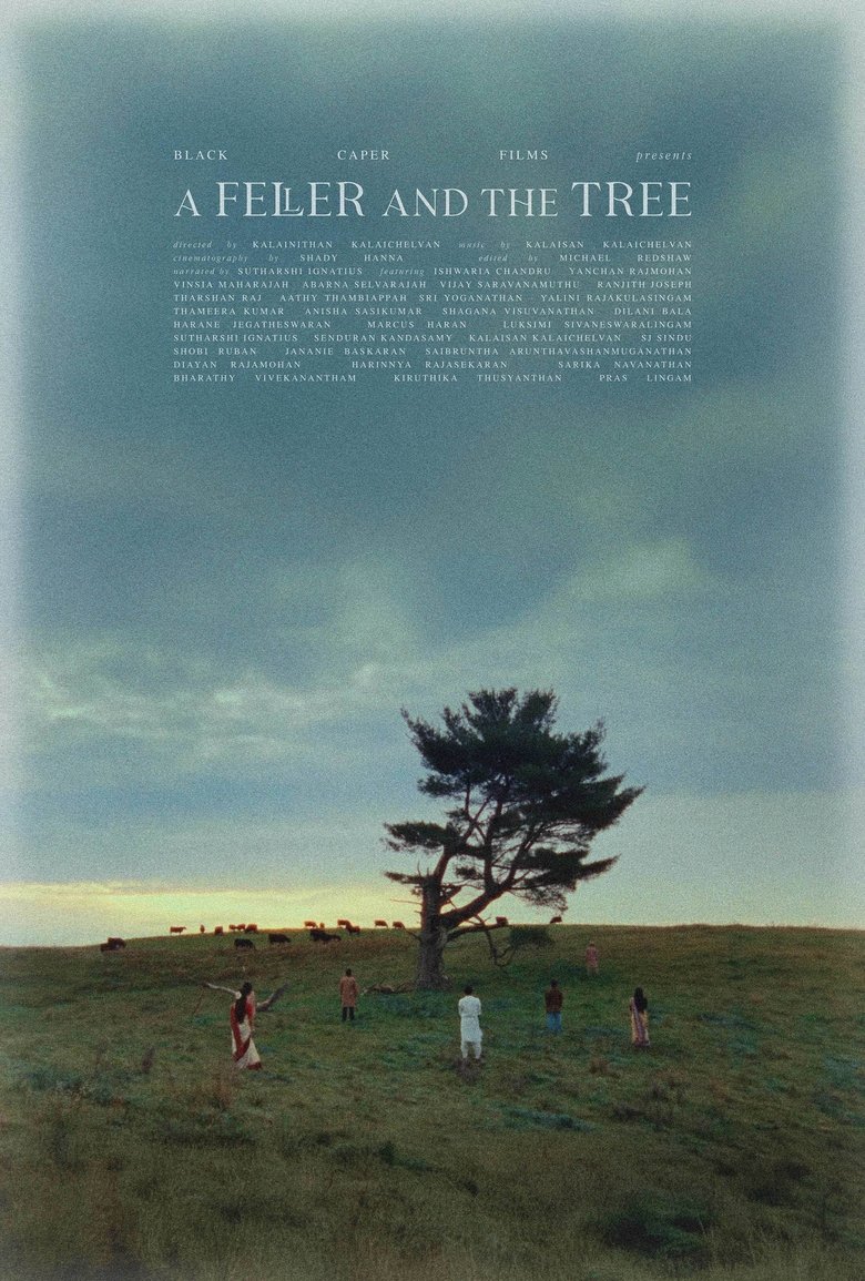 Poster of A Feller and the Tree