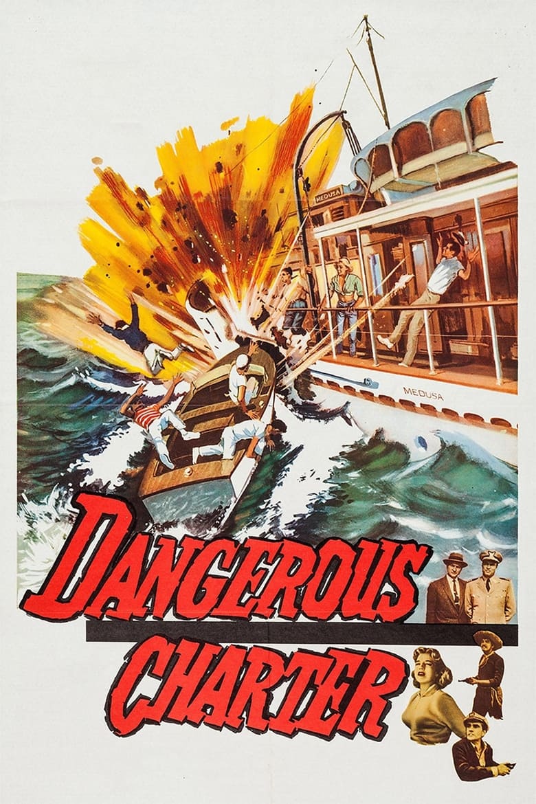 Poster of Dangerous Charter