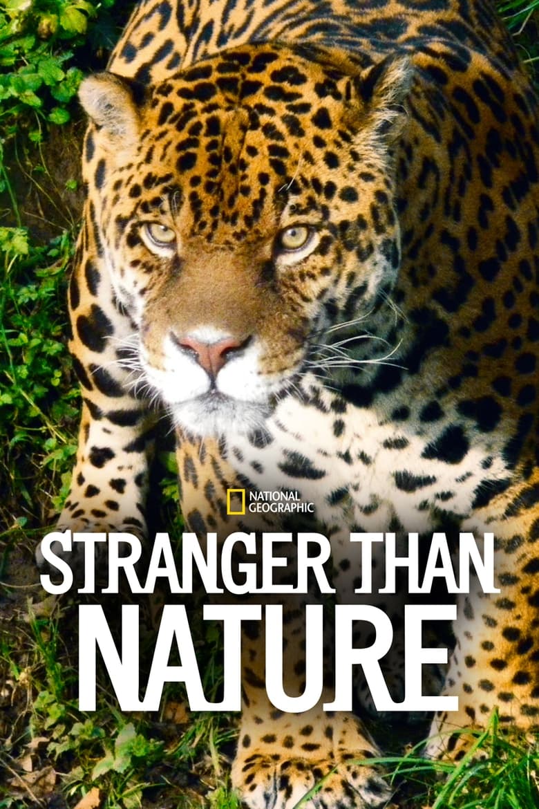 Poster of Episodes in Stranger Than Nature - Season 1 - Season 1