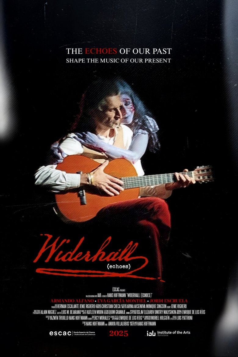 Poster of Widerhall