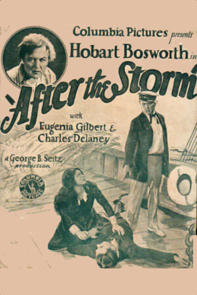 Poster of After the Storm