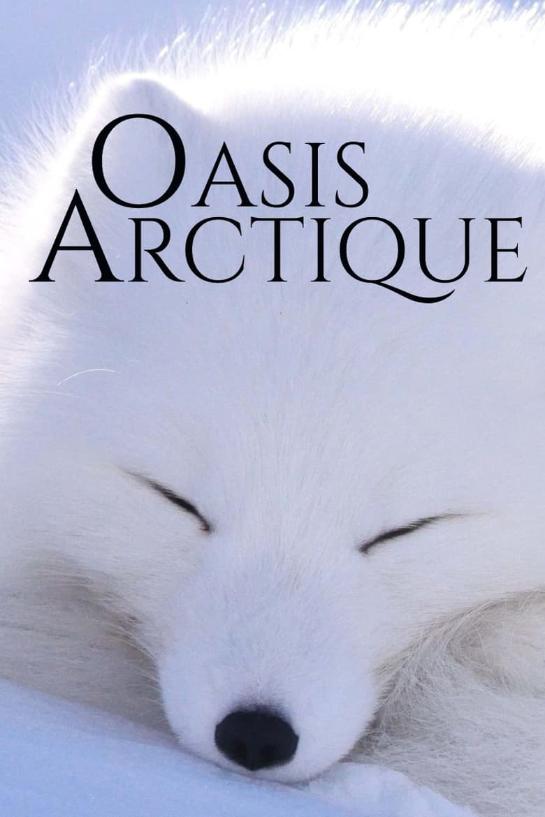 Poster of Oasis Arctique