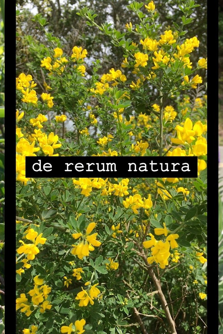Poster of de rerum natura