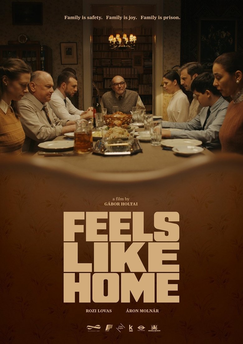 Poster of Feels Like Home