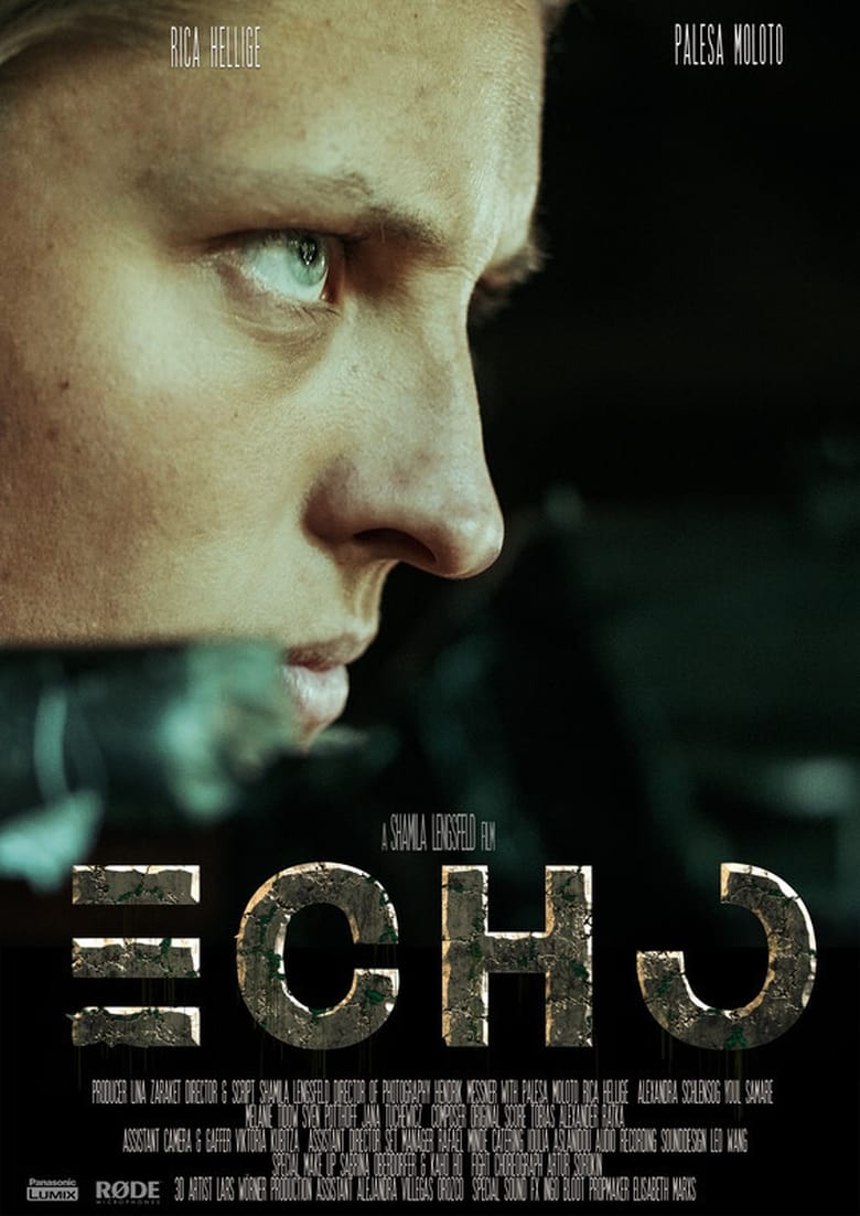 Poster of Echo