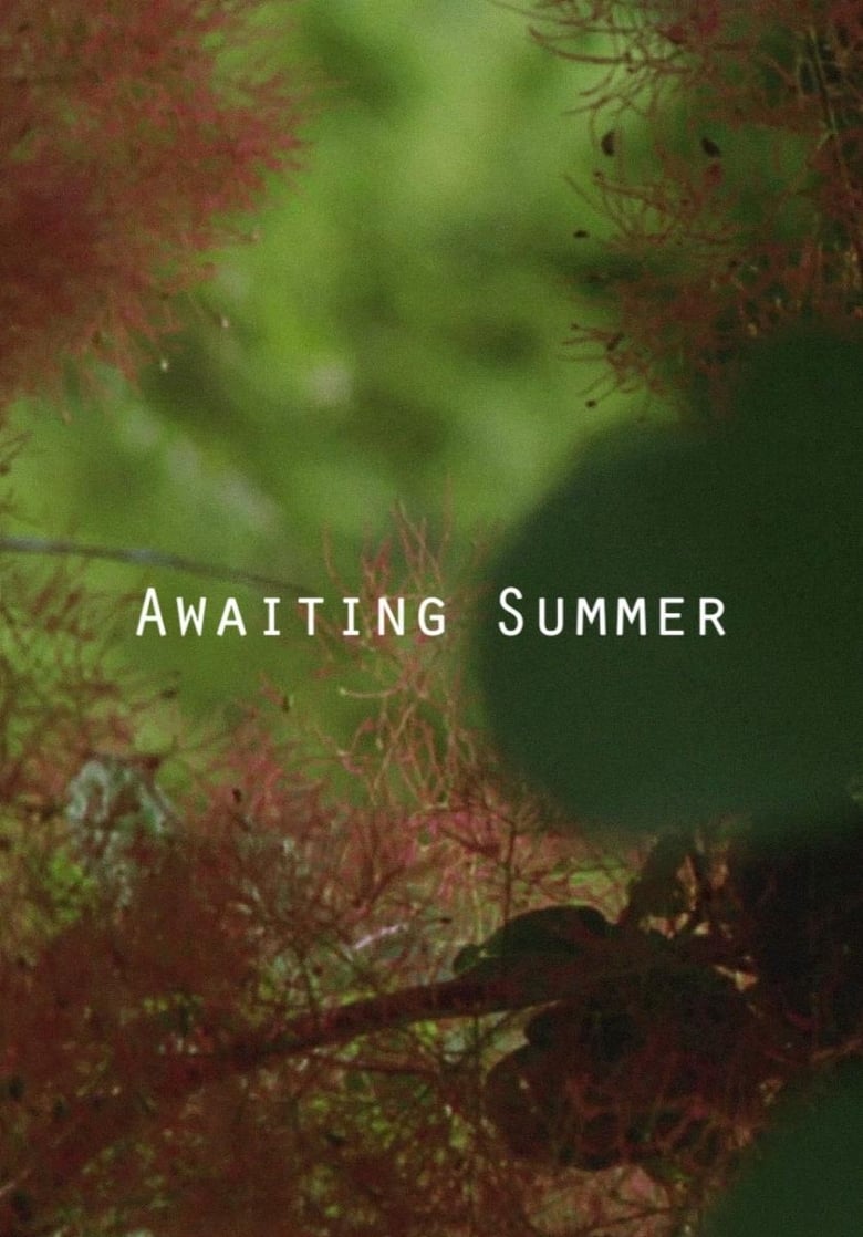 Poster of Awaiting Summer