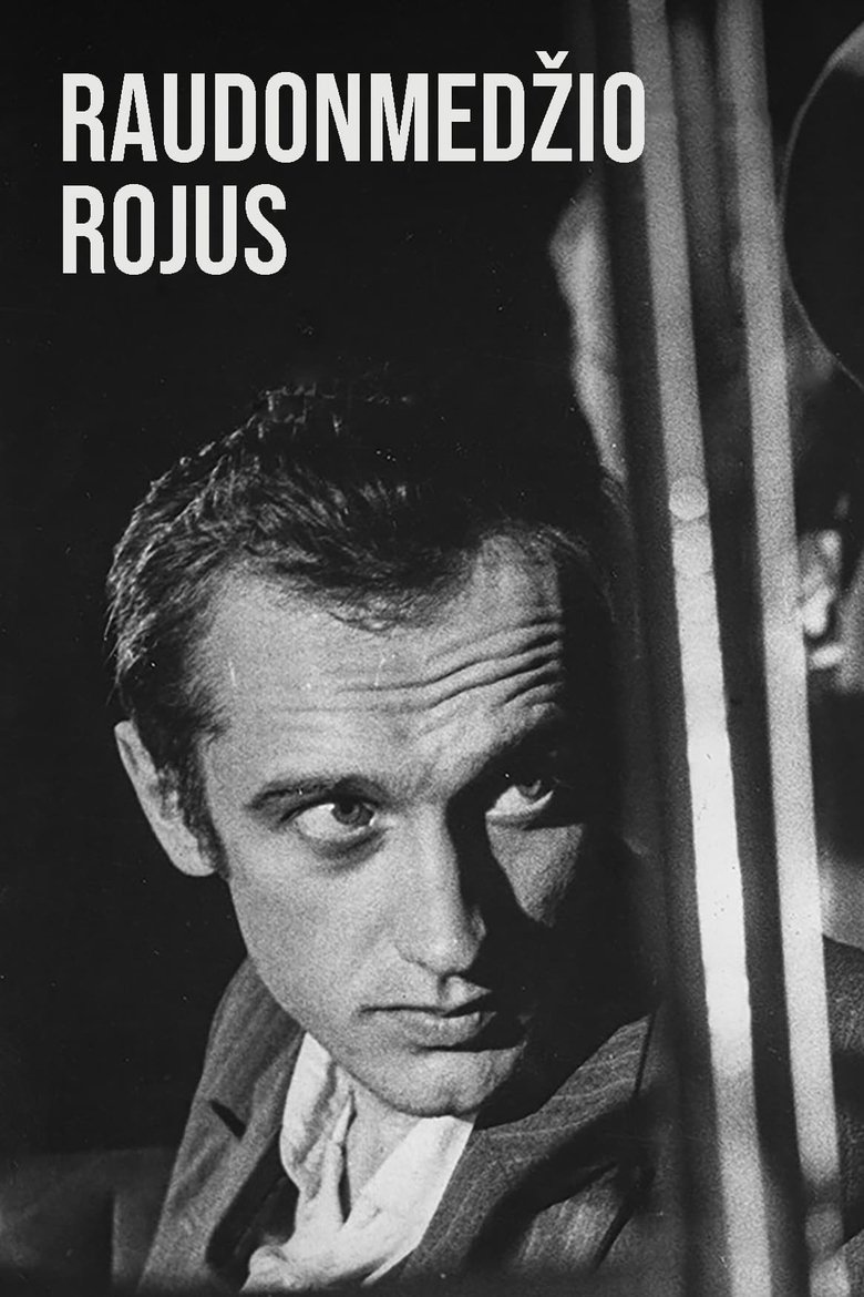 Poster of Episodes in Raudonmedžio Rojus - Season 1 - Season 1