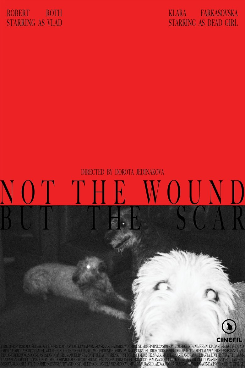 Poster of Not the Wound but the Scar