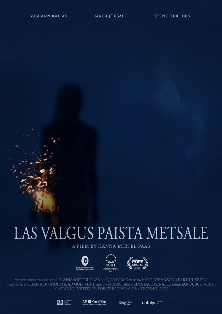 Poster of Let The Light Rise Upon The Forest