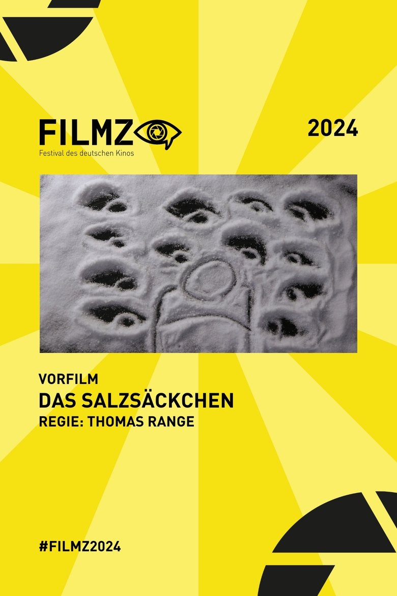 Poster of The Salt Bag