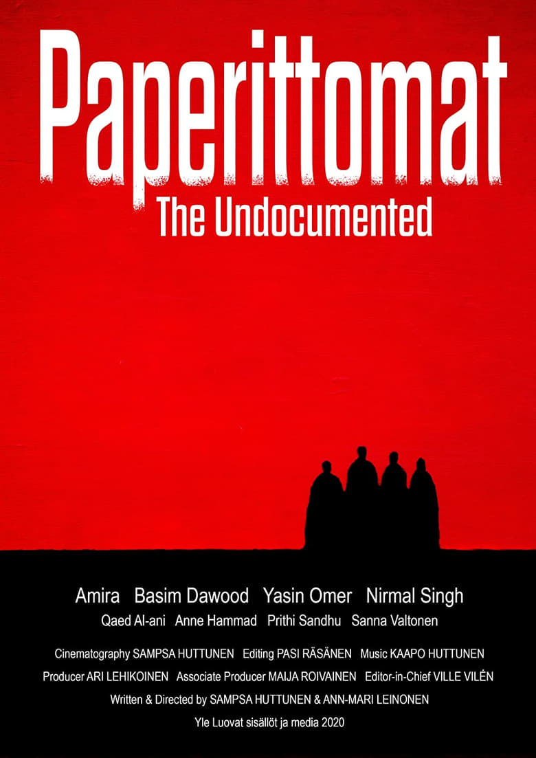 Poster of The Undocumented