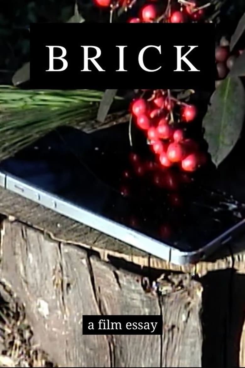 Poster of Brick - A film essay