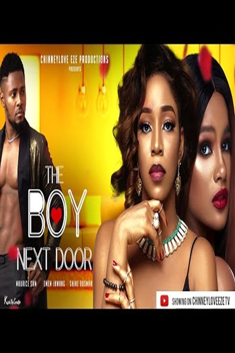 Poster of the boy next door