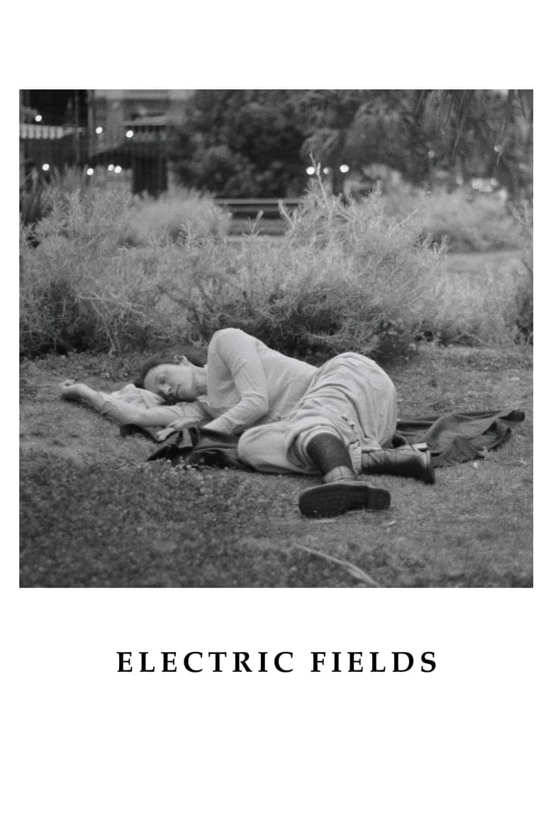 Poster of Electric Fields