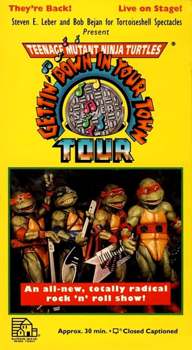 Poster of Teenage Mutant Ninja Turtles: Getting Down In Your Town